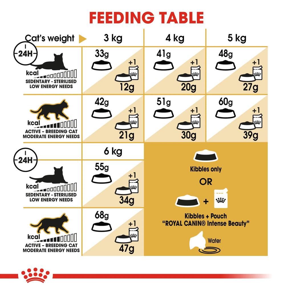 Royal Canin Dry Cat Food Siamese Adult