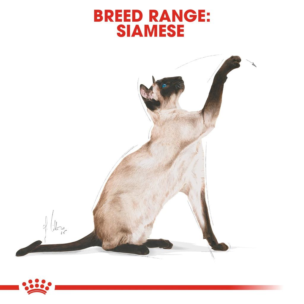 Royal Canin Dry Cat Food Siamese Adult