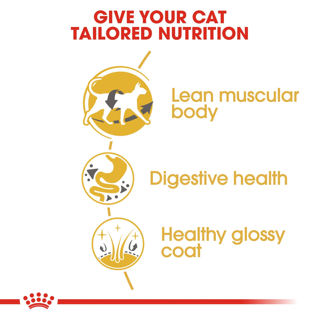 Royal Canin Dry Cat Food Siamese Adult