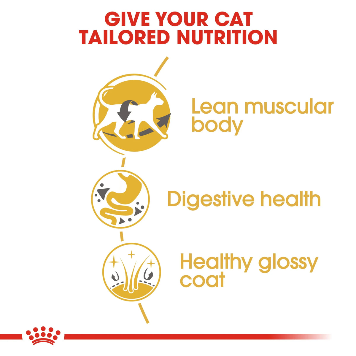 Royal Canin Dry Cat Food Siamese Adult