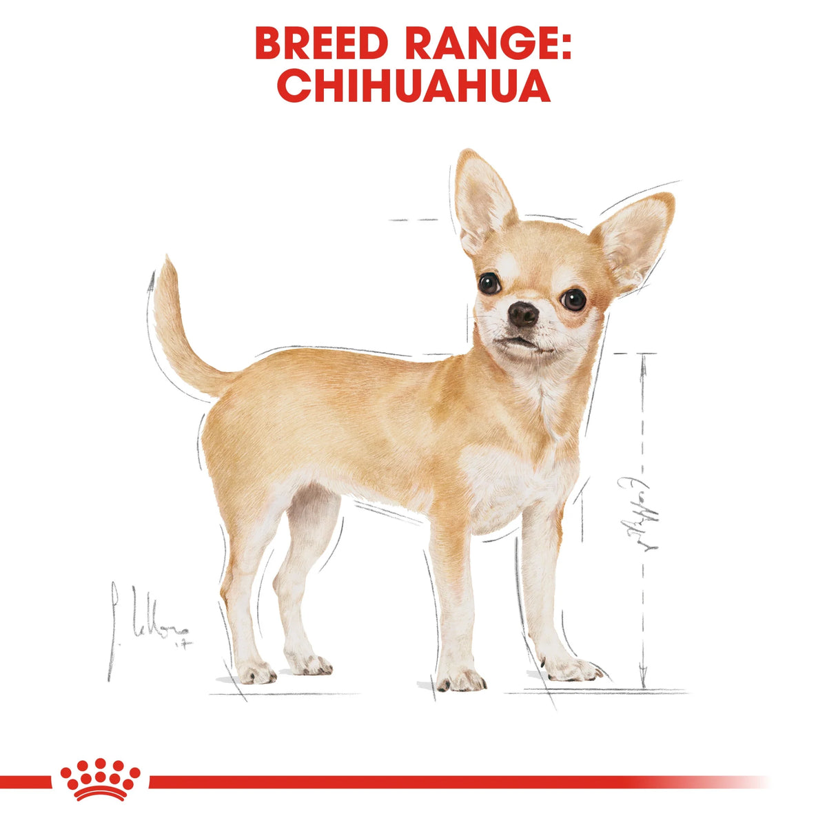 Royal Canin Dry Dog Food Chihuahua Adult