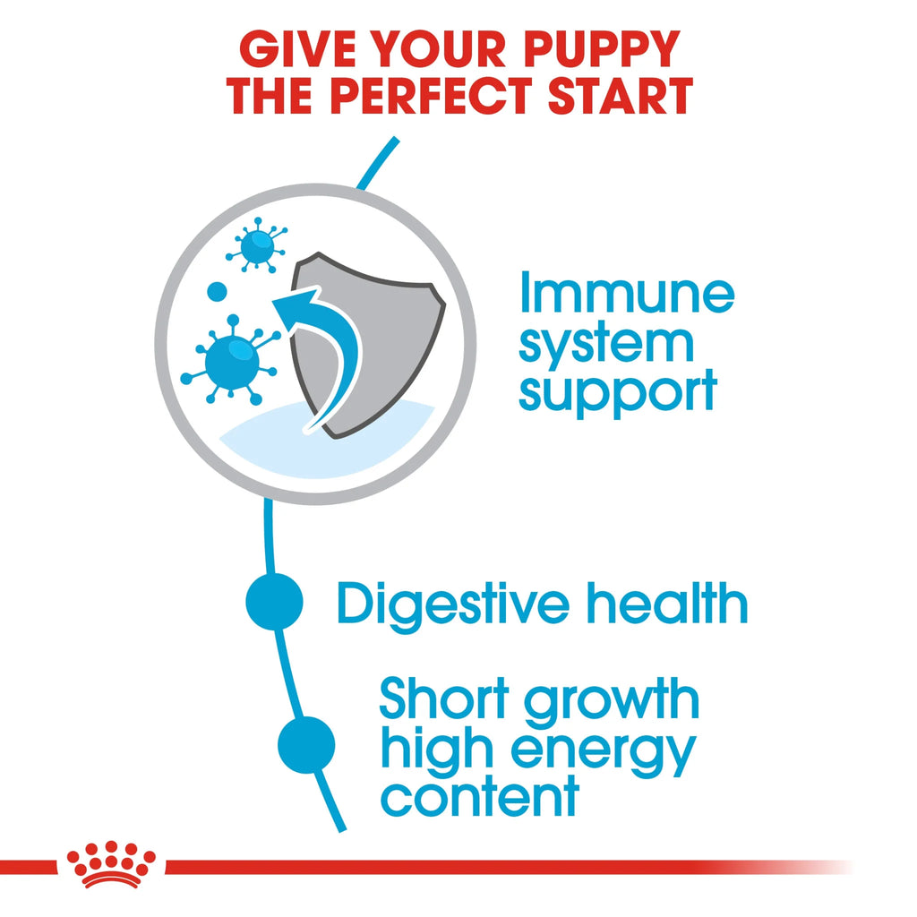 Royal Canin Dry Dog Food Medium Puppy