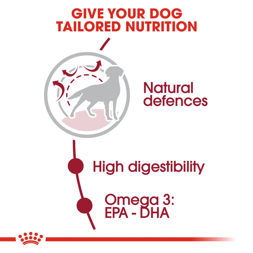 Royal Canin Dry Dog Food Medium Adult