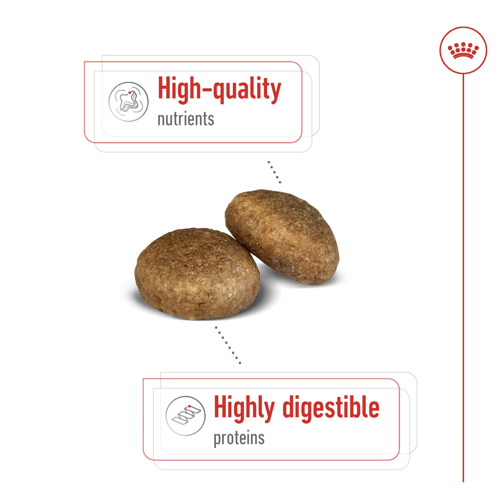 Royal Canin Dog Dry Food Maxi Adult