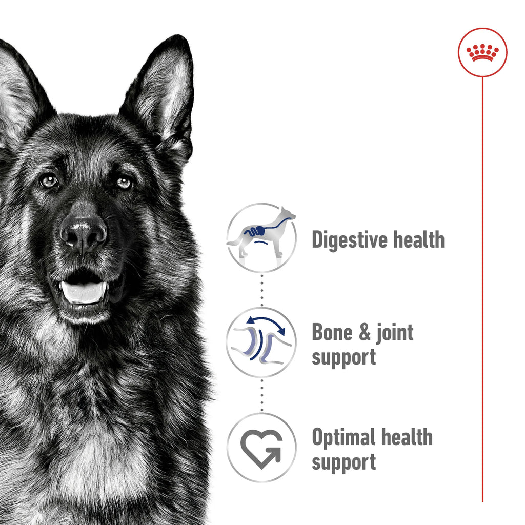 Royal Canin Dog Dry Food Maxi Adult