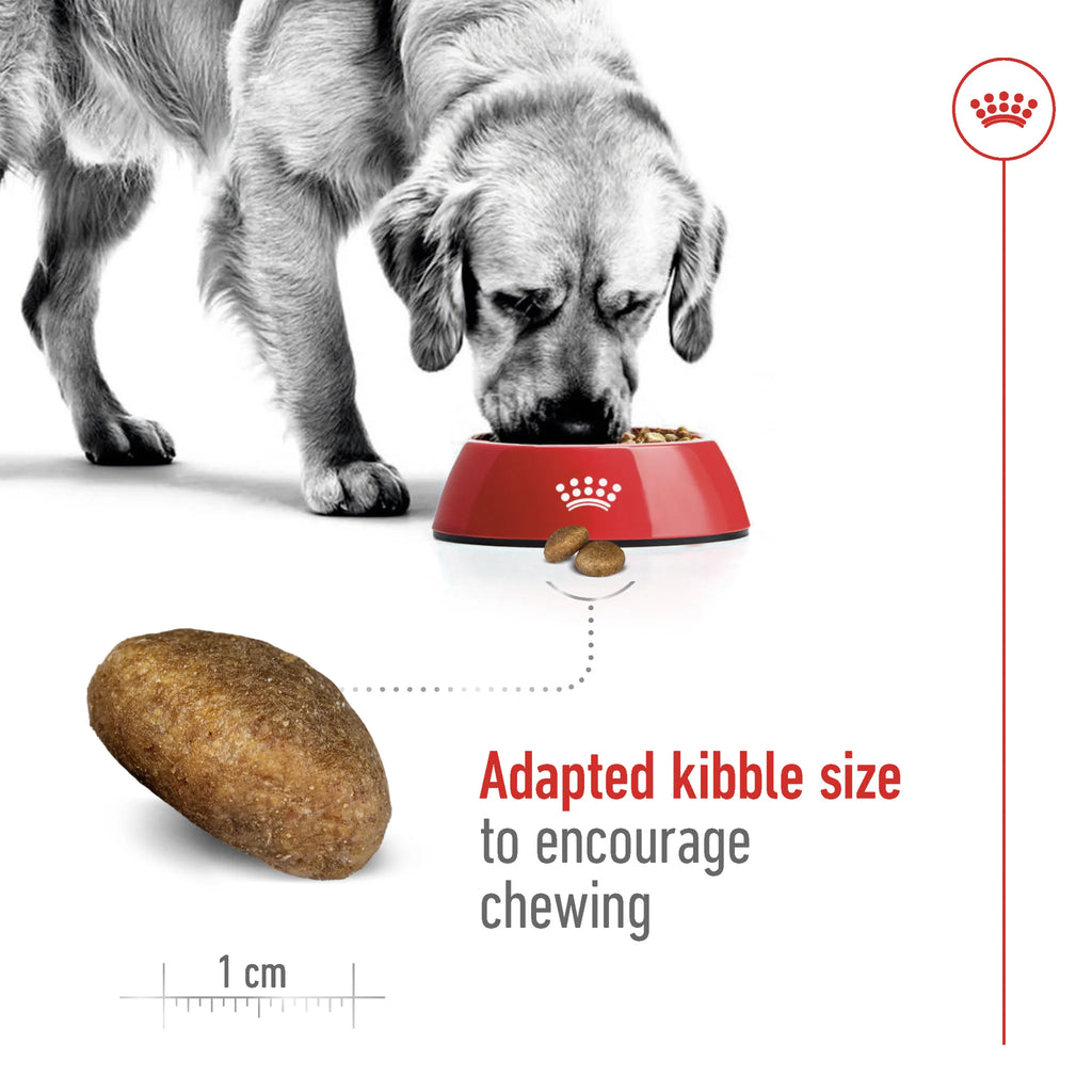 Royal Canin Dog Dry Food Maxi Adult
