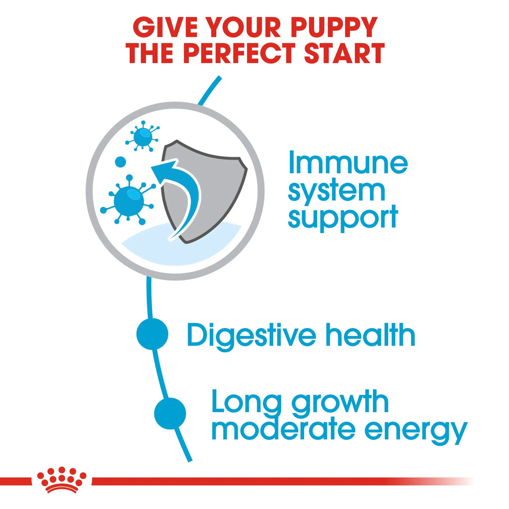 Royal Canin Dry Dog Food Maxi Puppy