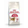 Royal Canin Cat Dry Food Regular Fit