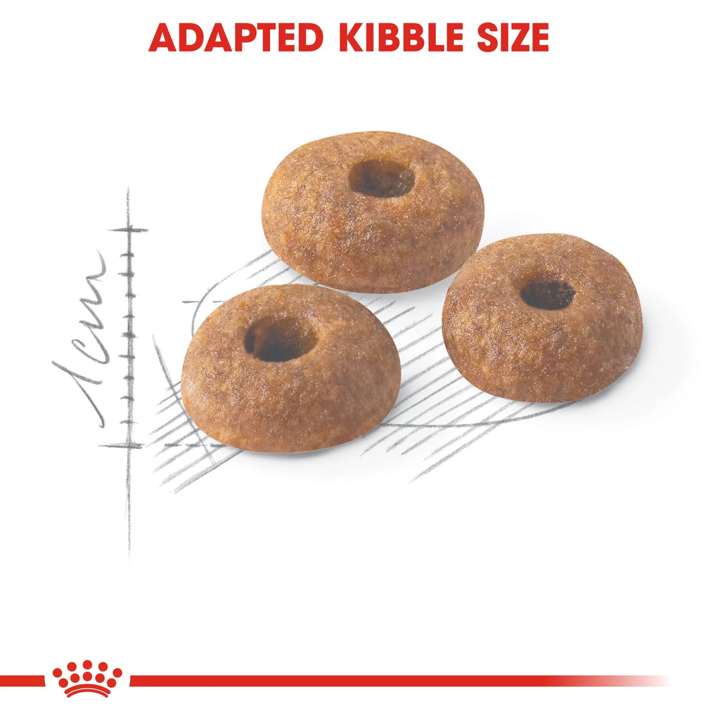 Royal Canin Cat Dry Food Regular Fit