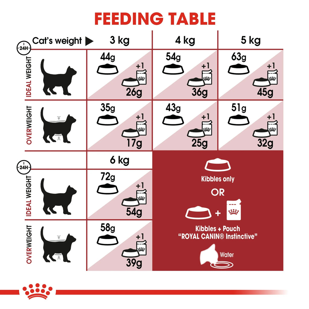 Royal Canin Cat Dry Food Regular Fit