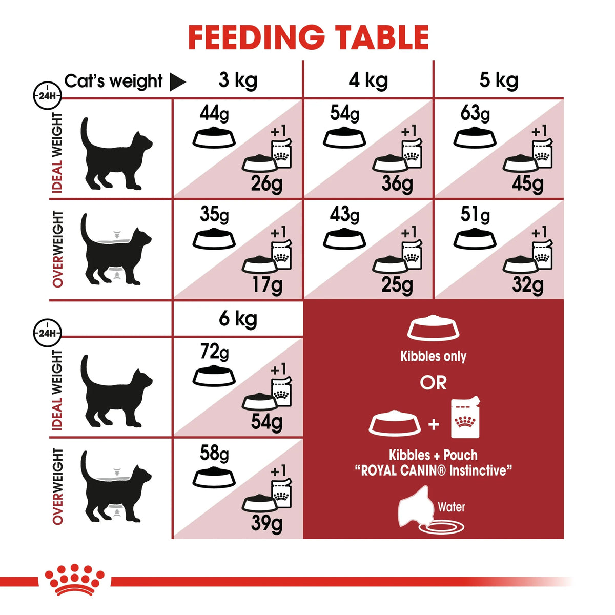 Royal Canin Cat Dry Food Regular Fit