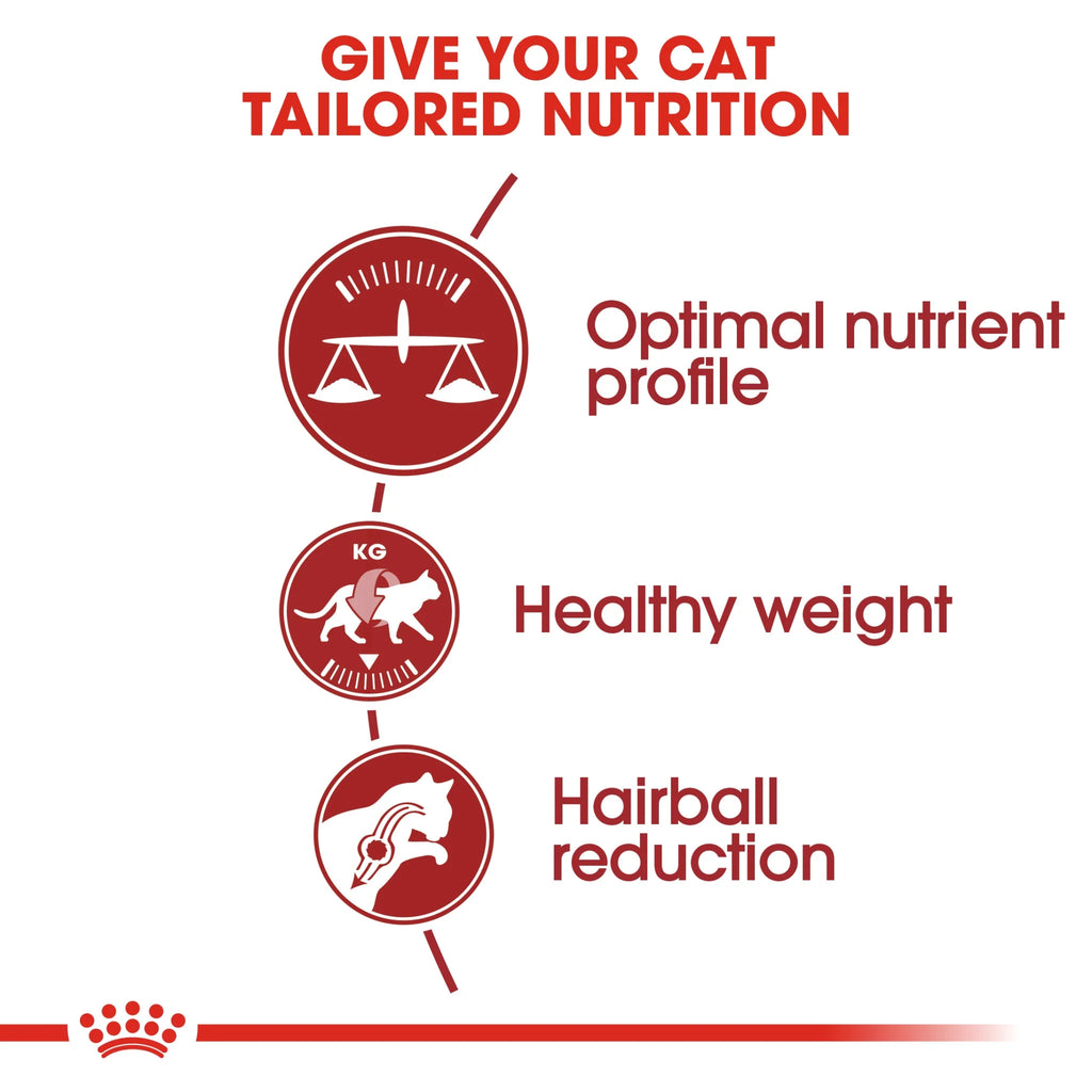 Royal Canin Cat Dry Food Regular Fit