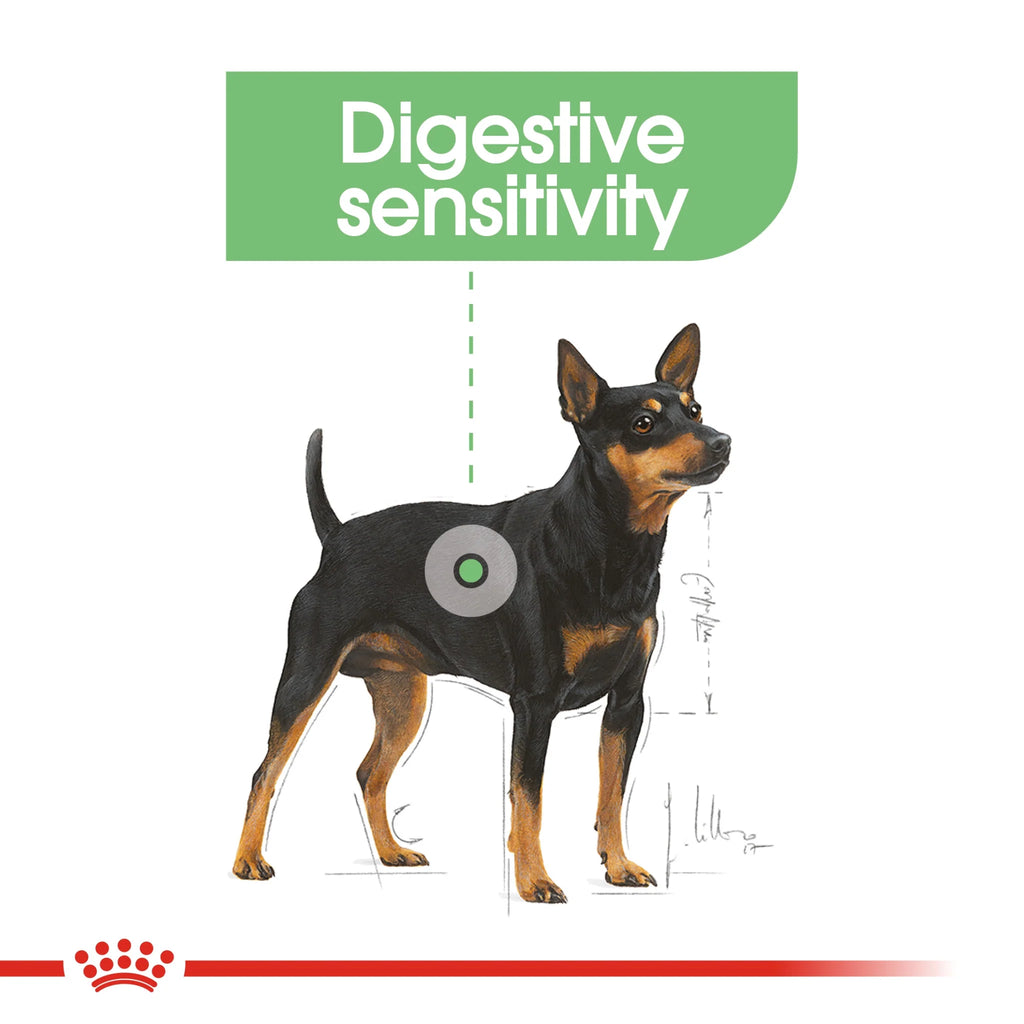 Royal Canin Dog Wet Food Digestive Care 85 gr