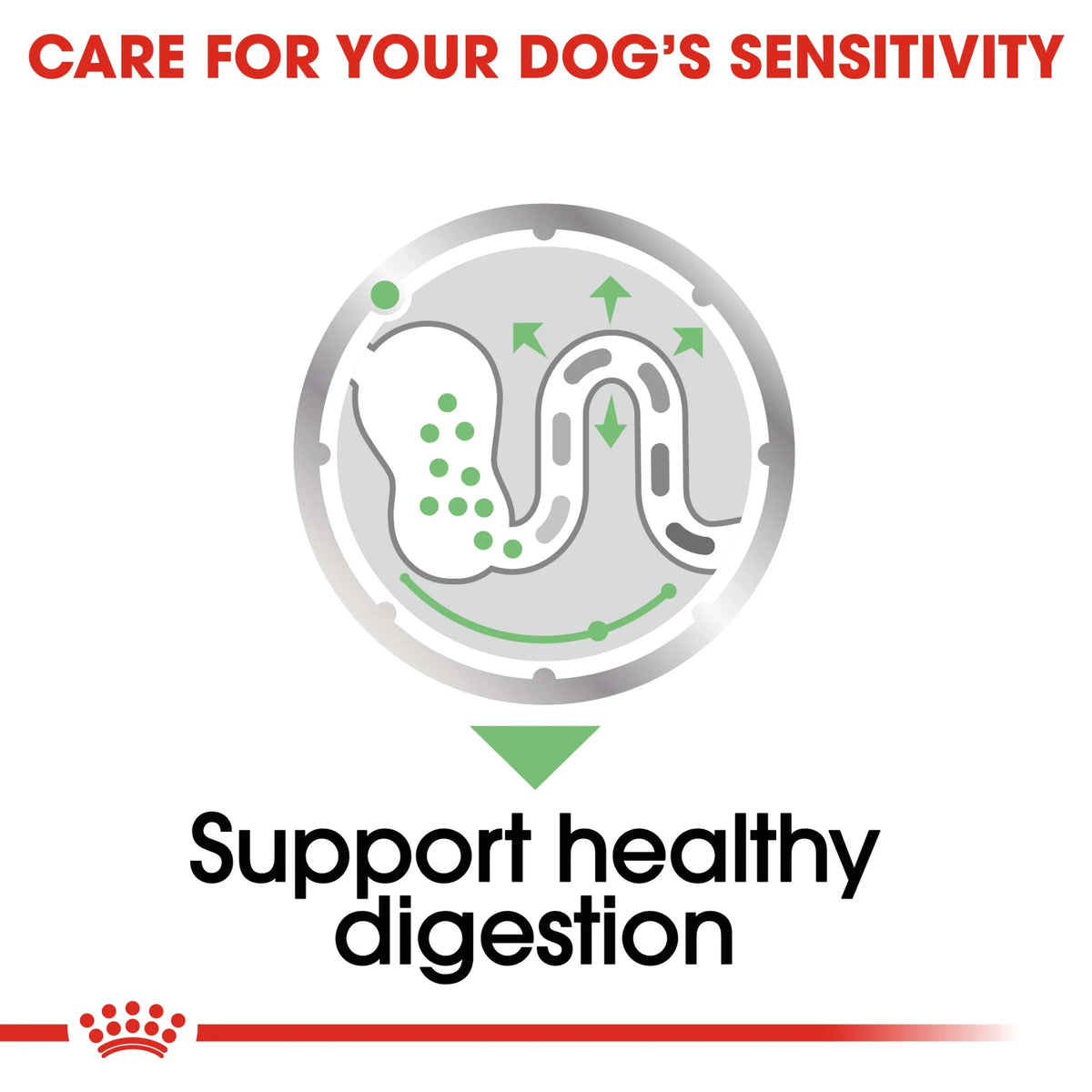Royal Canin Dog Wet Food Digestive Care 85 gr