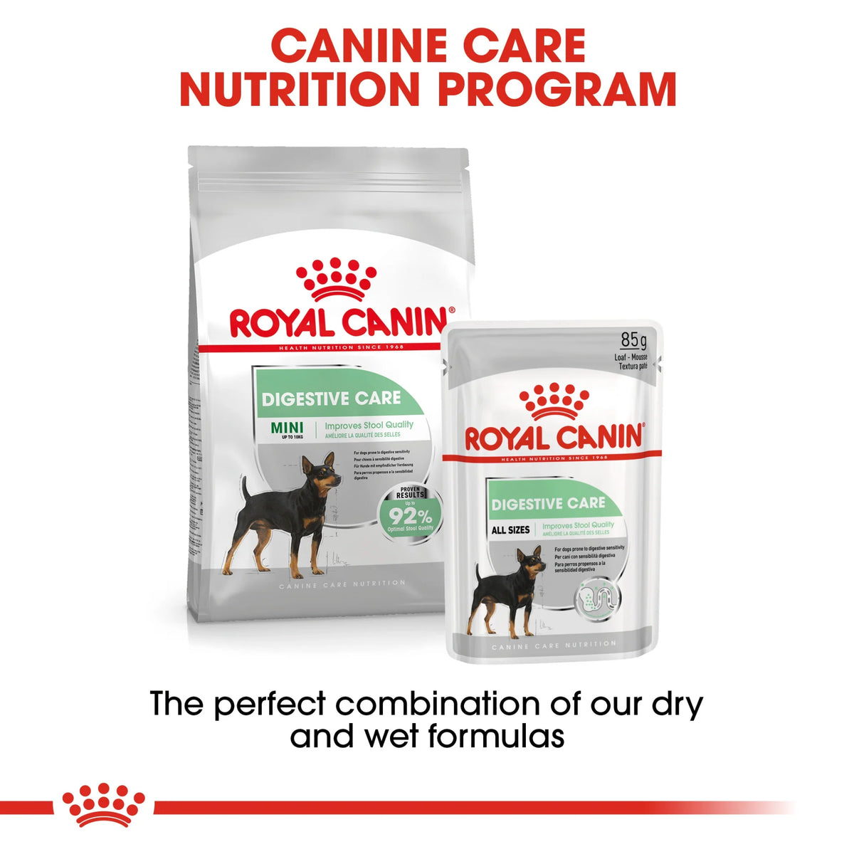 Royal Canin Dog Wet Food Digestive Care 85 gr