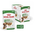 Royal Canin Wet Dog Food Mini Adult 85gr
