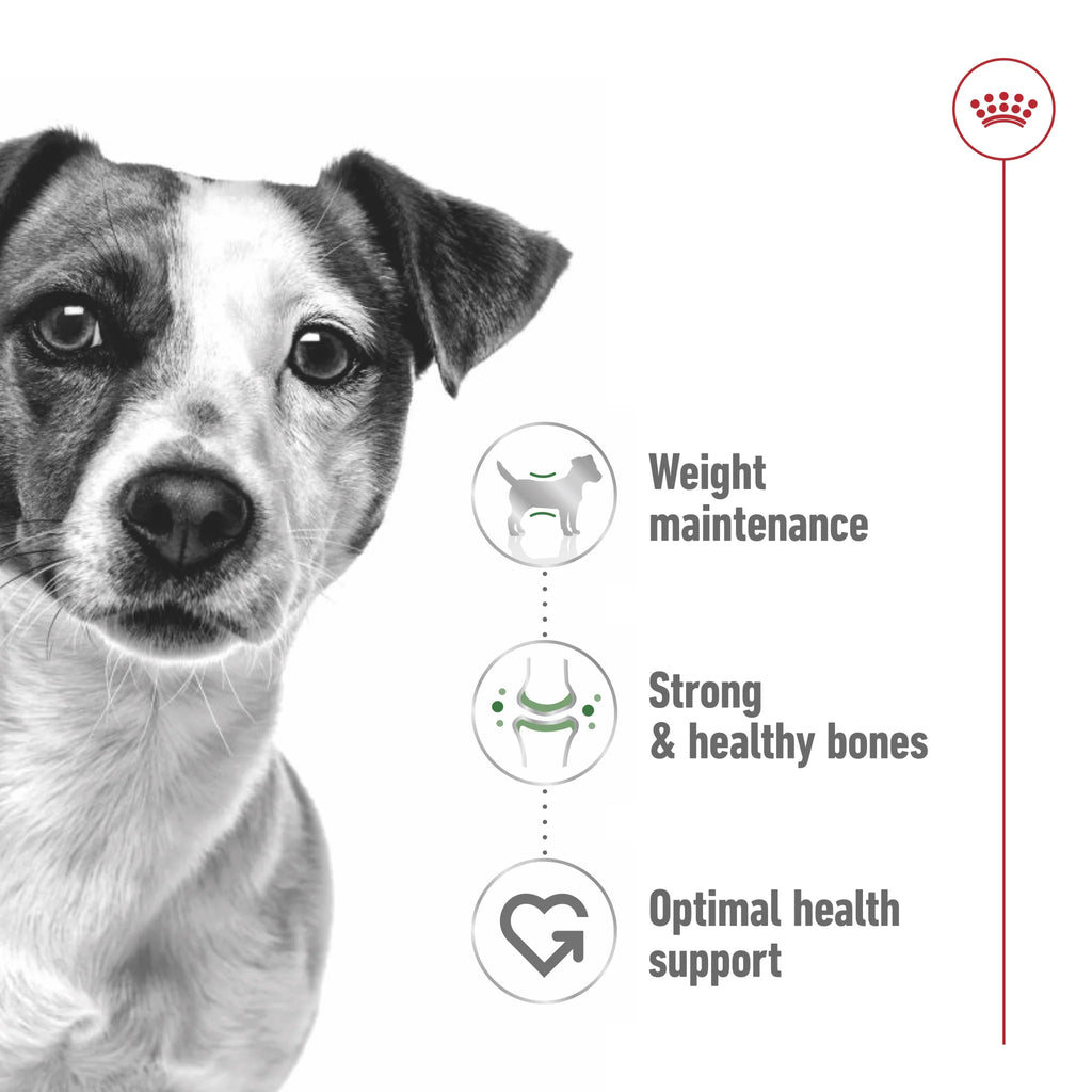 Royal Canin Wet Dog Food Mini Adult 85gr