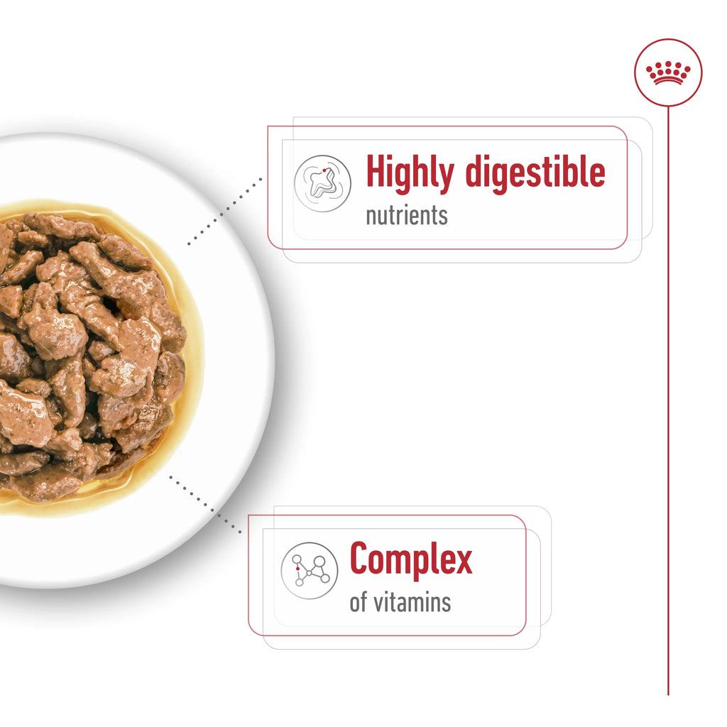 Royal Canin Wet Dog Food Mini Adult 85gr