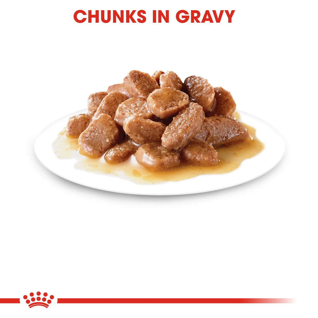 Royal Canin Wet Cat Food Digest Sensitive Gravy 85 g