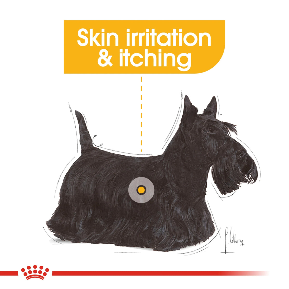 Royal Canin Dog Wet Foood Demarcomfort 85 gr