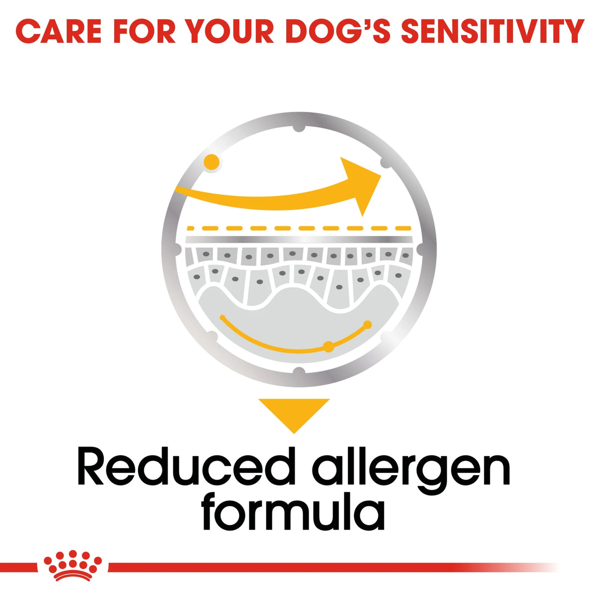 Royal Canin Dog Wet Foood Demarcomfort 85 gr