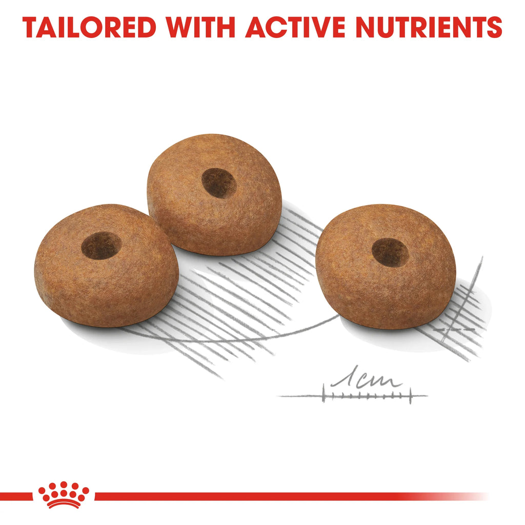 Royal Canin Dry Dog Food Mini Light Weight Care