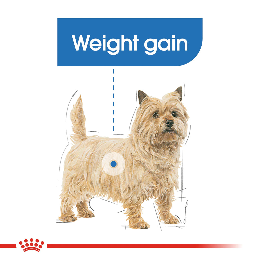 Royal Canin Dry Dog Food Mini Light Weight Care