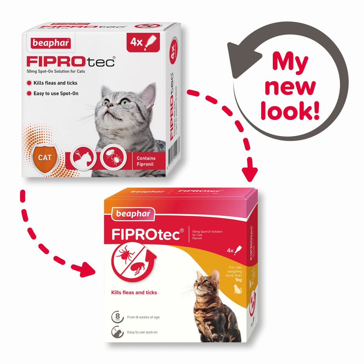 Kills Fleas and Ticks 1 Pipettes Fiprotec for Cat