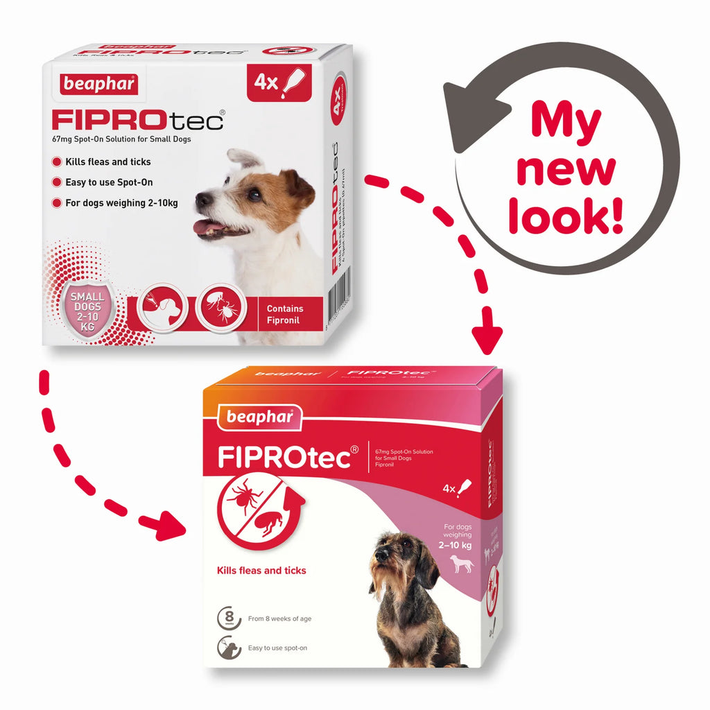 Kills Fleas and Ticks 1 Pipettes Fiprotec for Small Dog
