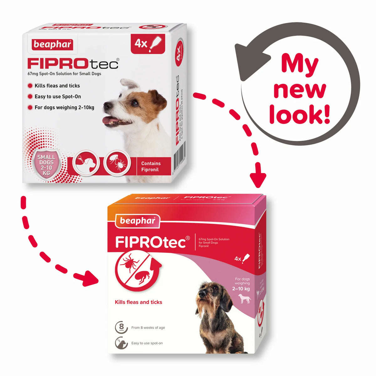 Kills Fleas and Ticks 1 Pipettes Fiprotec for Small Dog