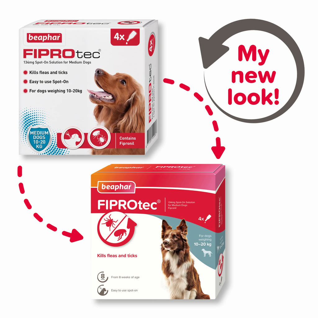 Kills Fleas and Ticks 1 Pipettes Fiprotec for Medium Dog