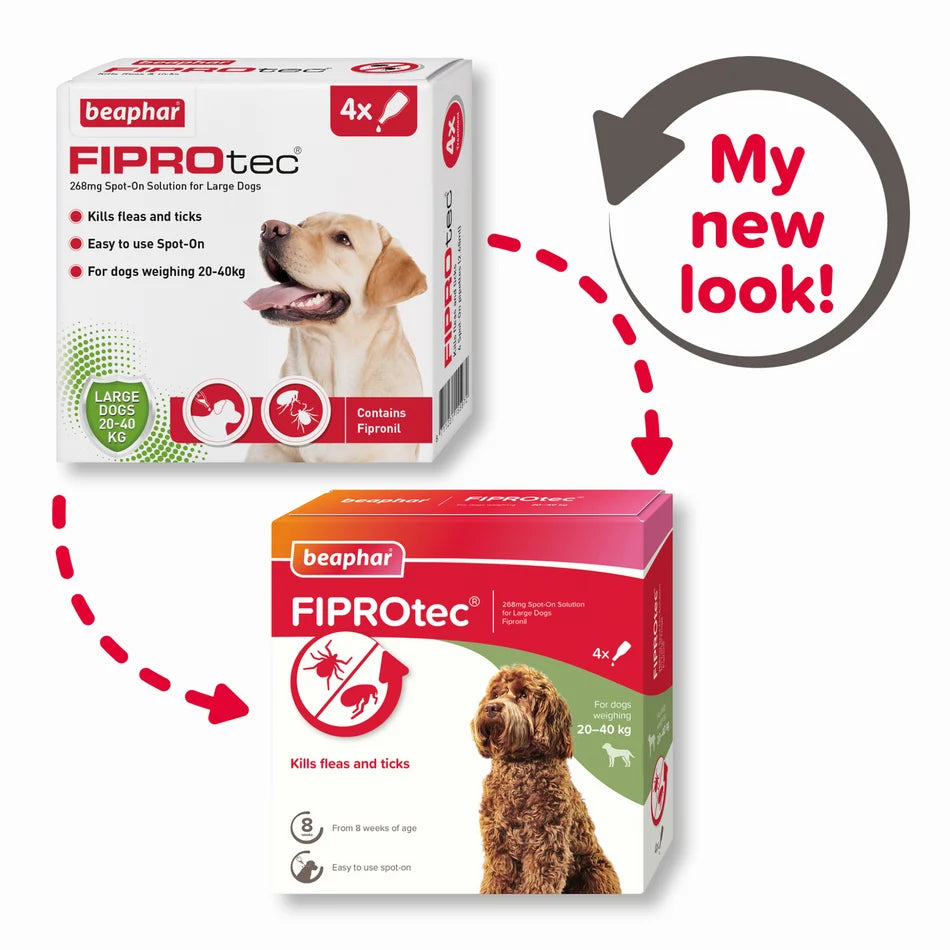 Kills Fleas and Ticks 1 Pipettes Fiprotec for Large Dog