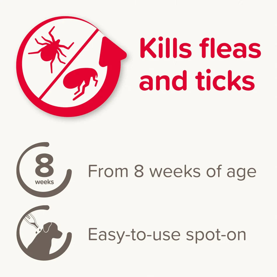 Kills Fleas and Ticks 1 Pipettes Fiprotec for Large Dog