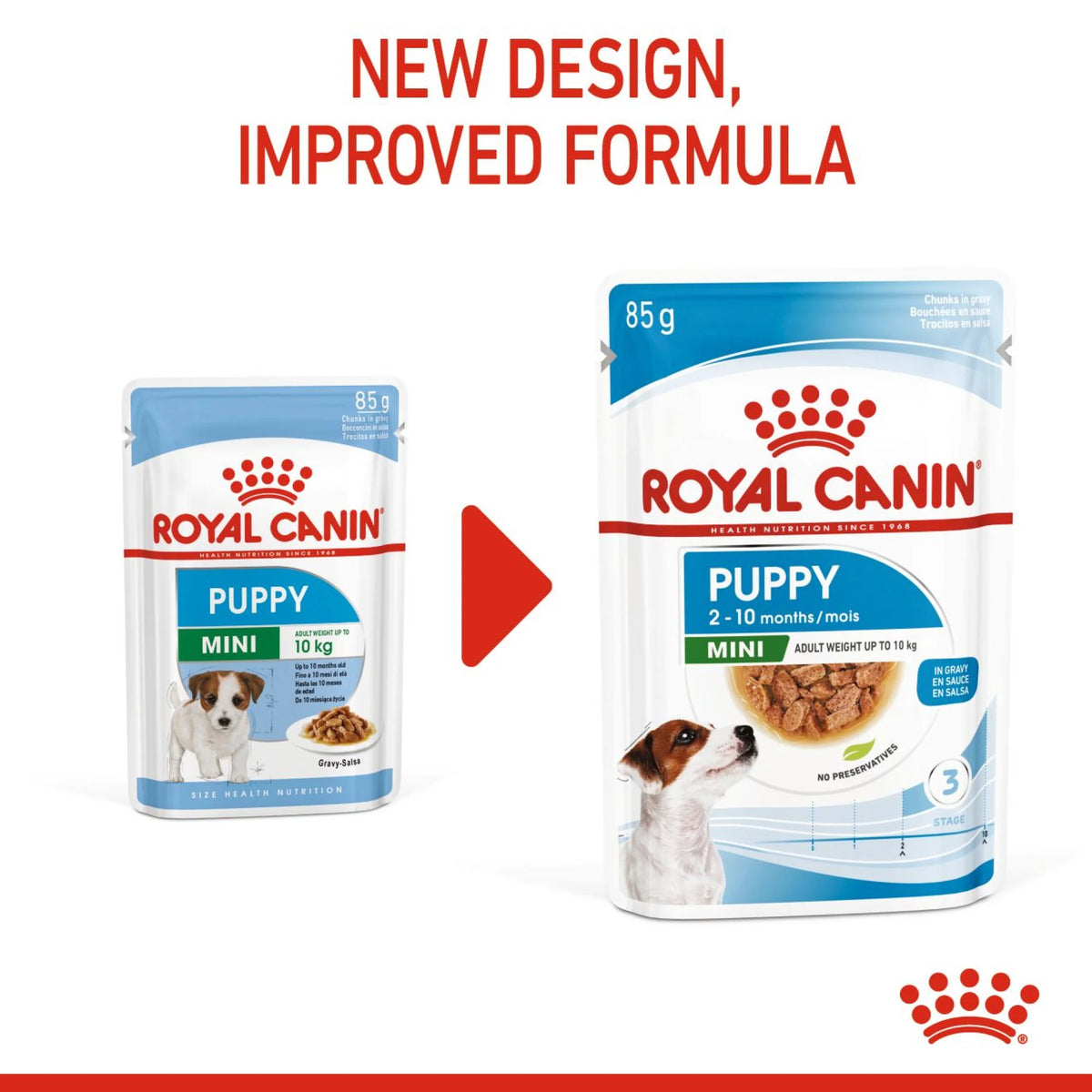 Royal Canin Wet Food Mini Puppy