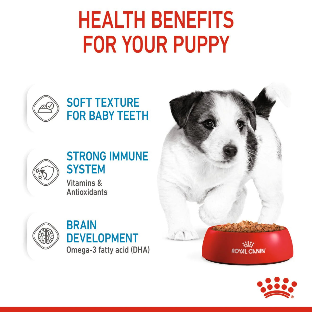 Royal Canin Wet Food Mini Puppy