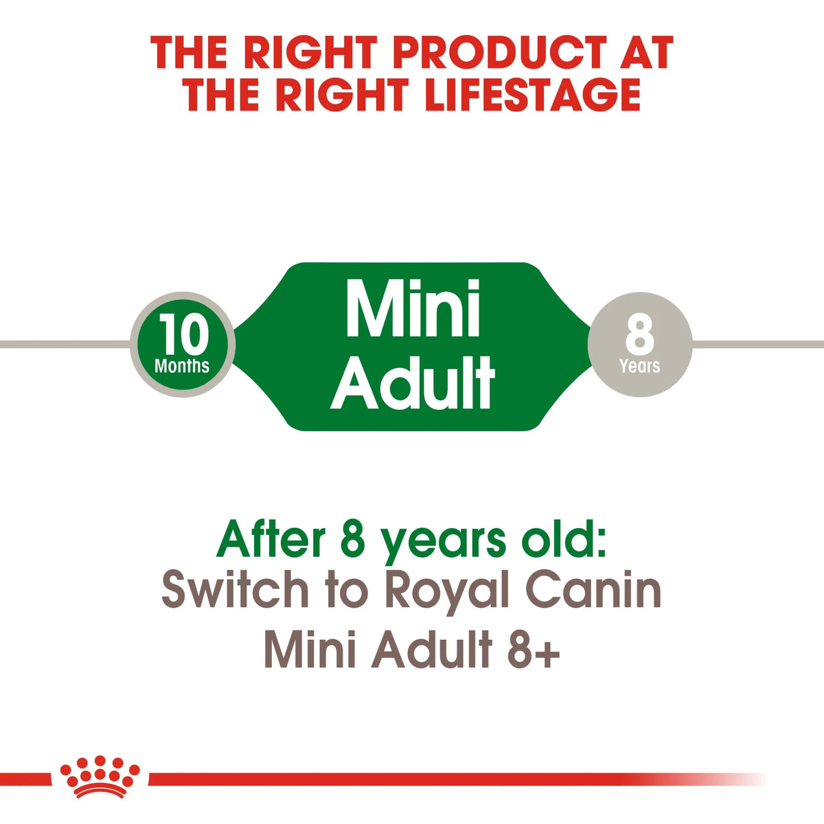 Royal Canin Dry Dog Food Mini Adult
