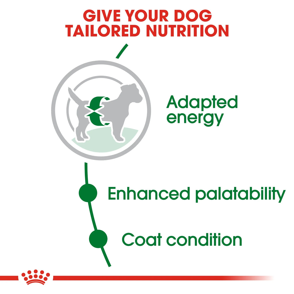 Royal Canin Dry Dog Food Mini Adult