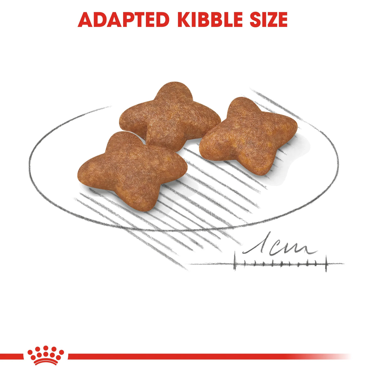 Royal Canin Dry Dog Food Mini Adult