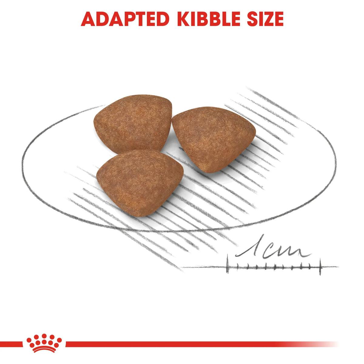 Royal Canin Dry Dog Food  Mini Puppy