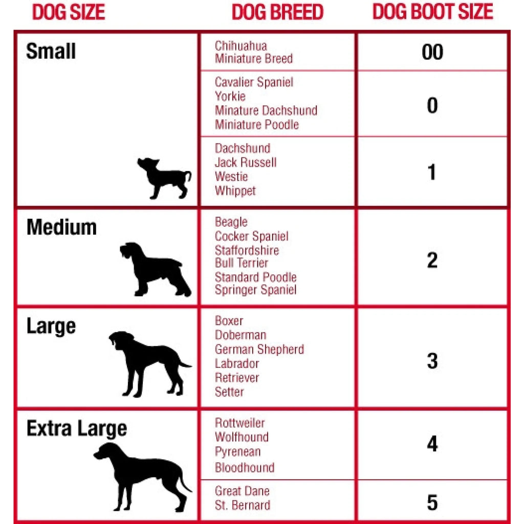 Dog Boot/Shoes Mikki