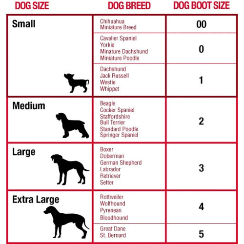 Dog Boot/Shoes Mikki
