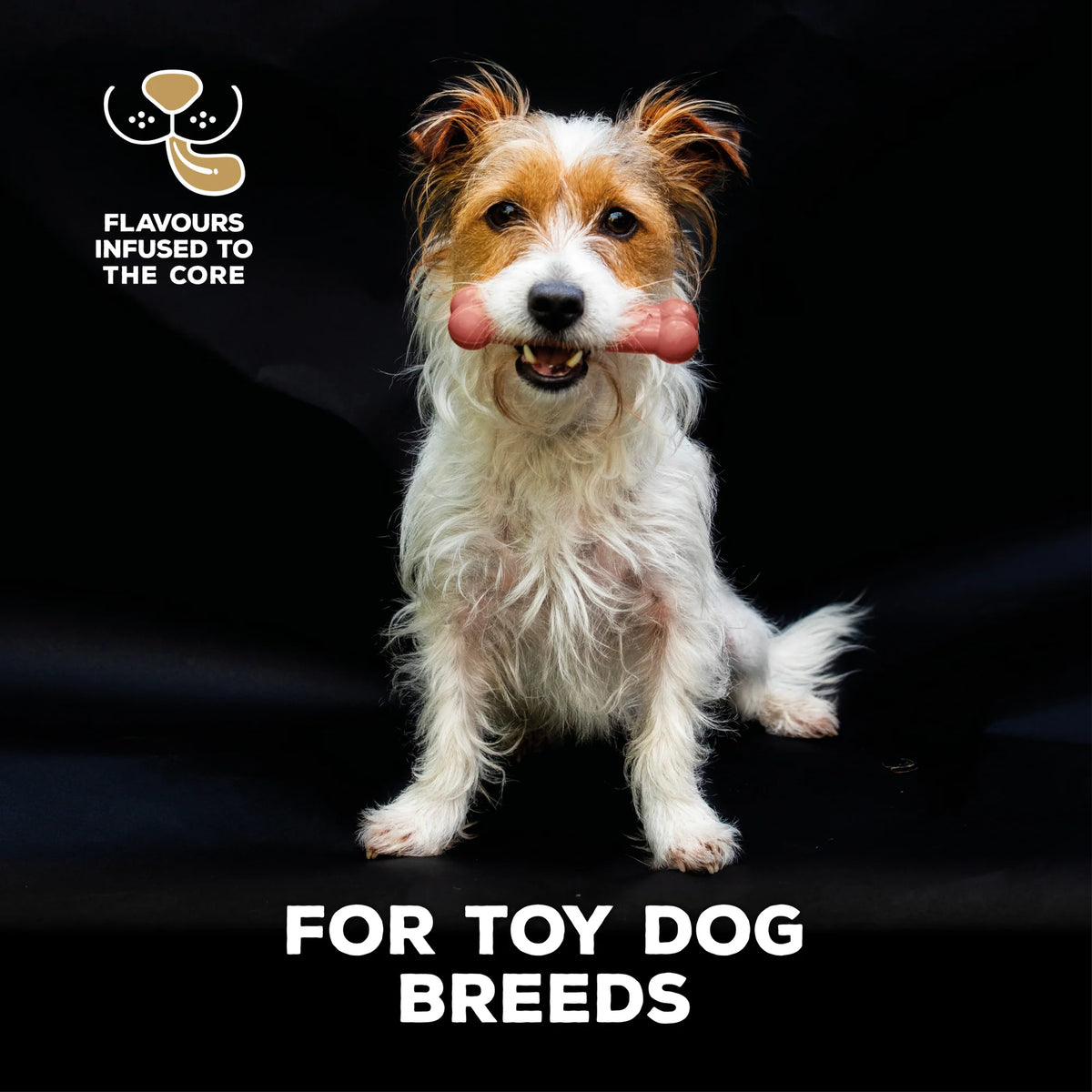 TastyBone Toy Dog, Bacon