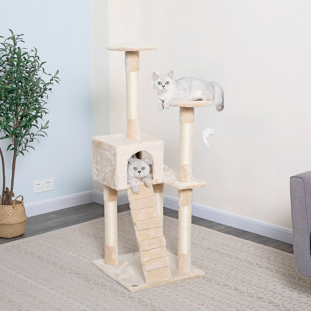 Cat Tree Condo 52″