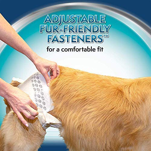 Disposable Pet Diapers