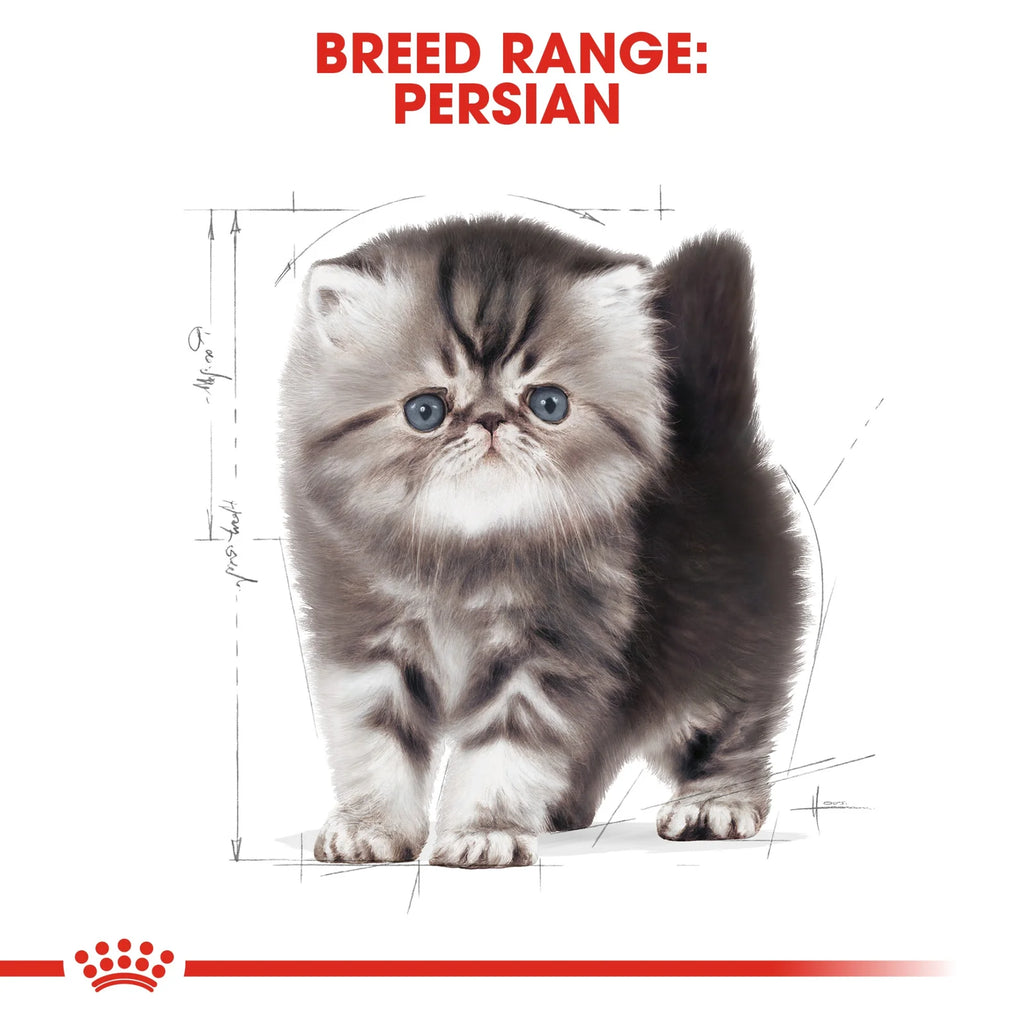 Royal Canin Dry Food Persian Cat Kitten 2 Kg
