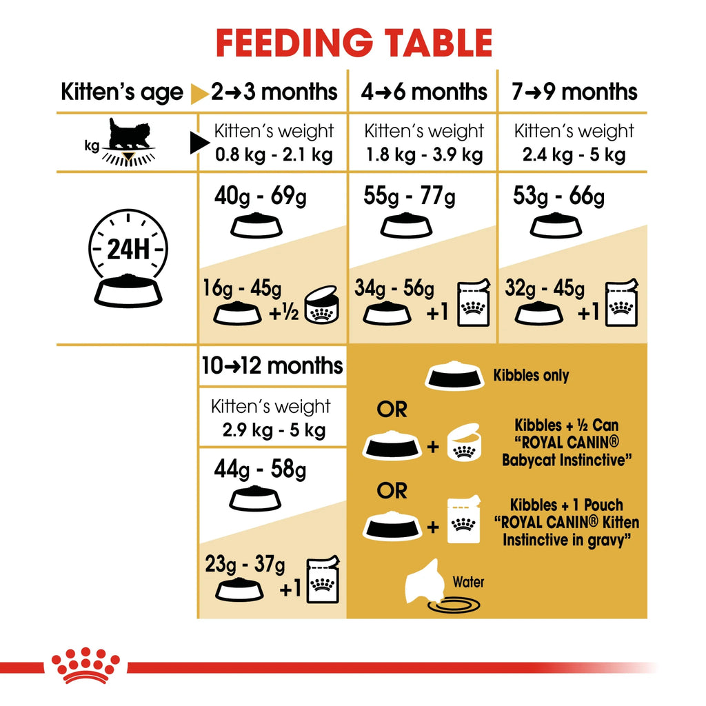 Royal Canin Dry Food Persian Cat Kitten 2 Kg