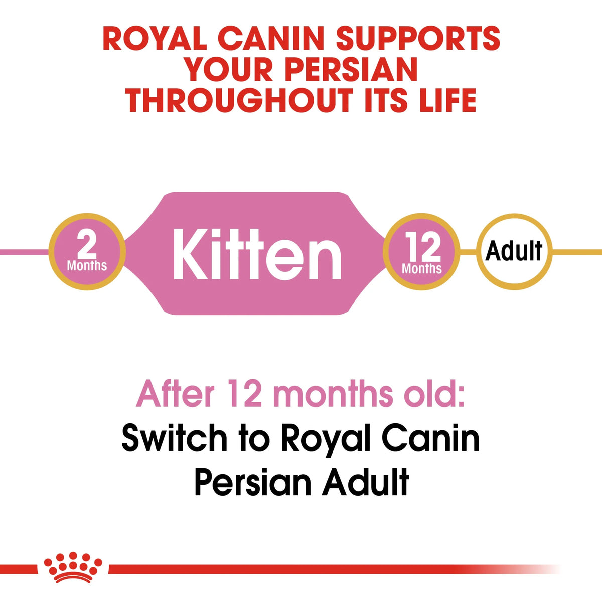 Royal Canin Dry Food Persian Cat Kitten 2 Kg
