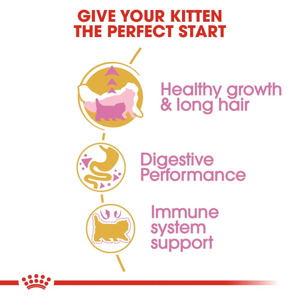 Royal Canin Dry Food Persian Cat Kitten 2 Kg