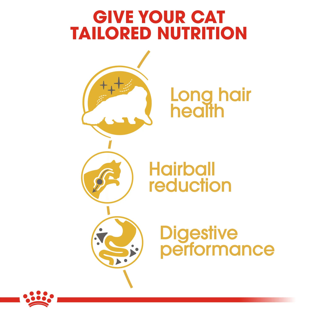Royal Canin Dry Food Persian Cat