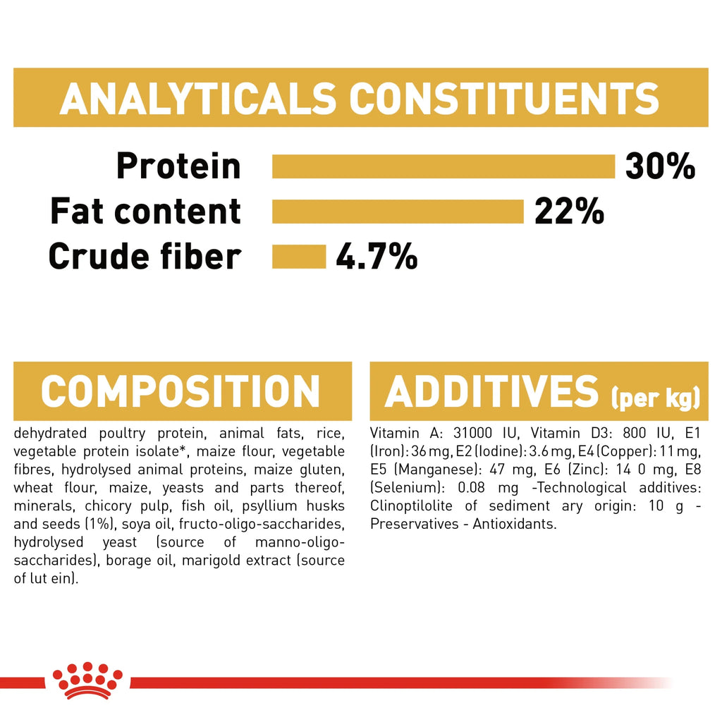 Royal Canin Dry Food Persian Cat